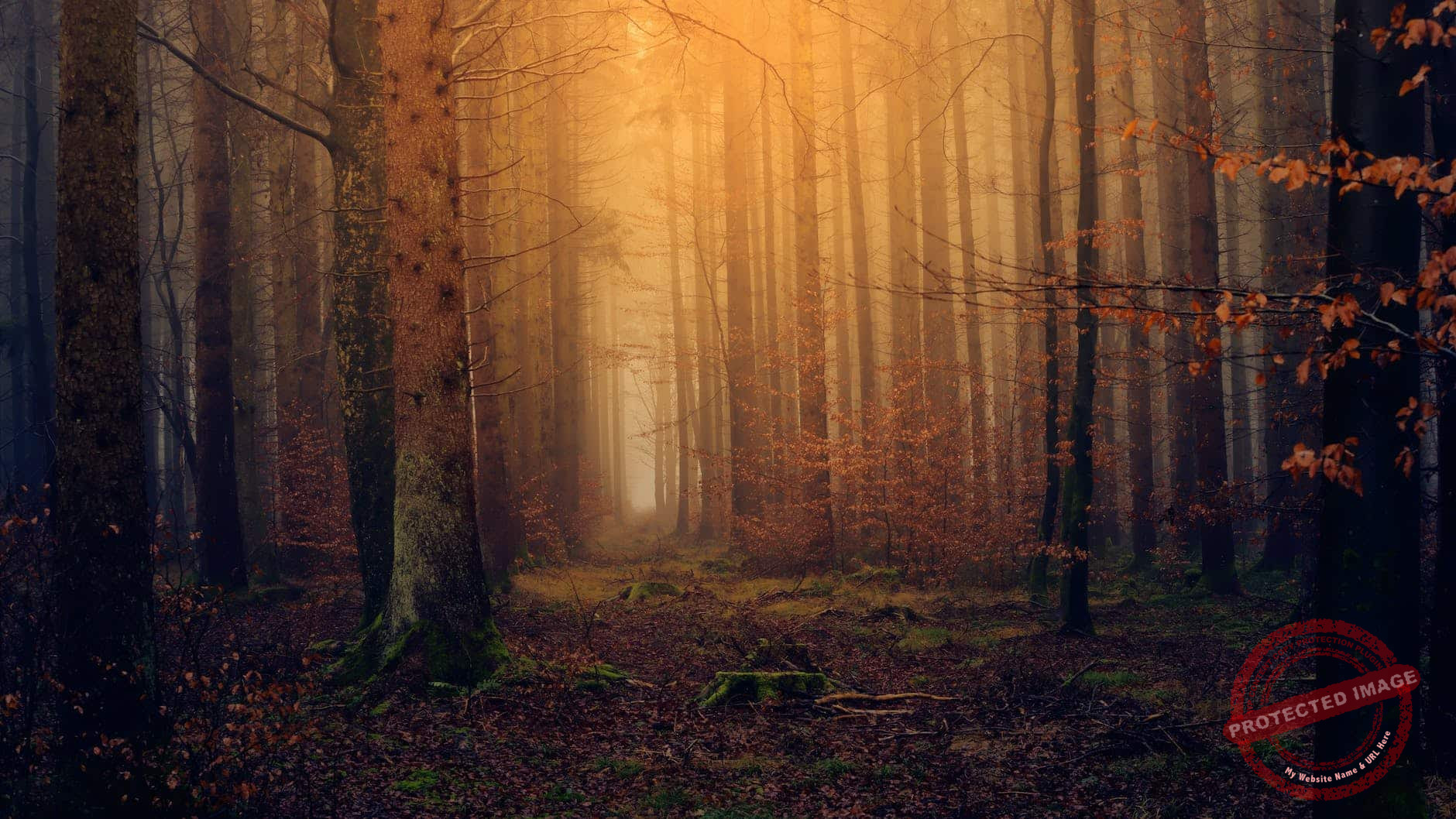 Kreative Wege durch die dunkle Jahreszeit: Die Bedeutung von kreativen Hobbys und sozialen Kontakten